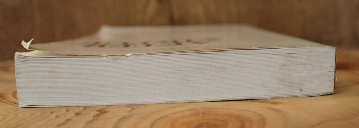 After Virtue - Alasdair MacIntyre