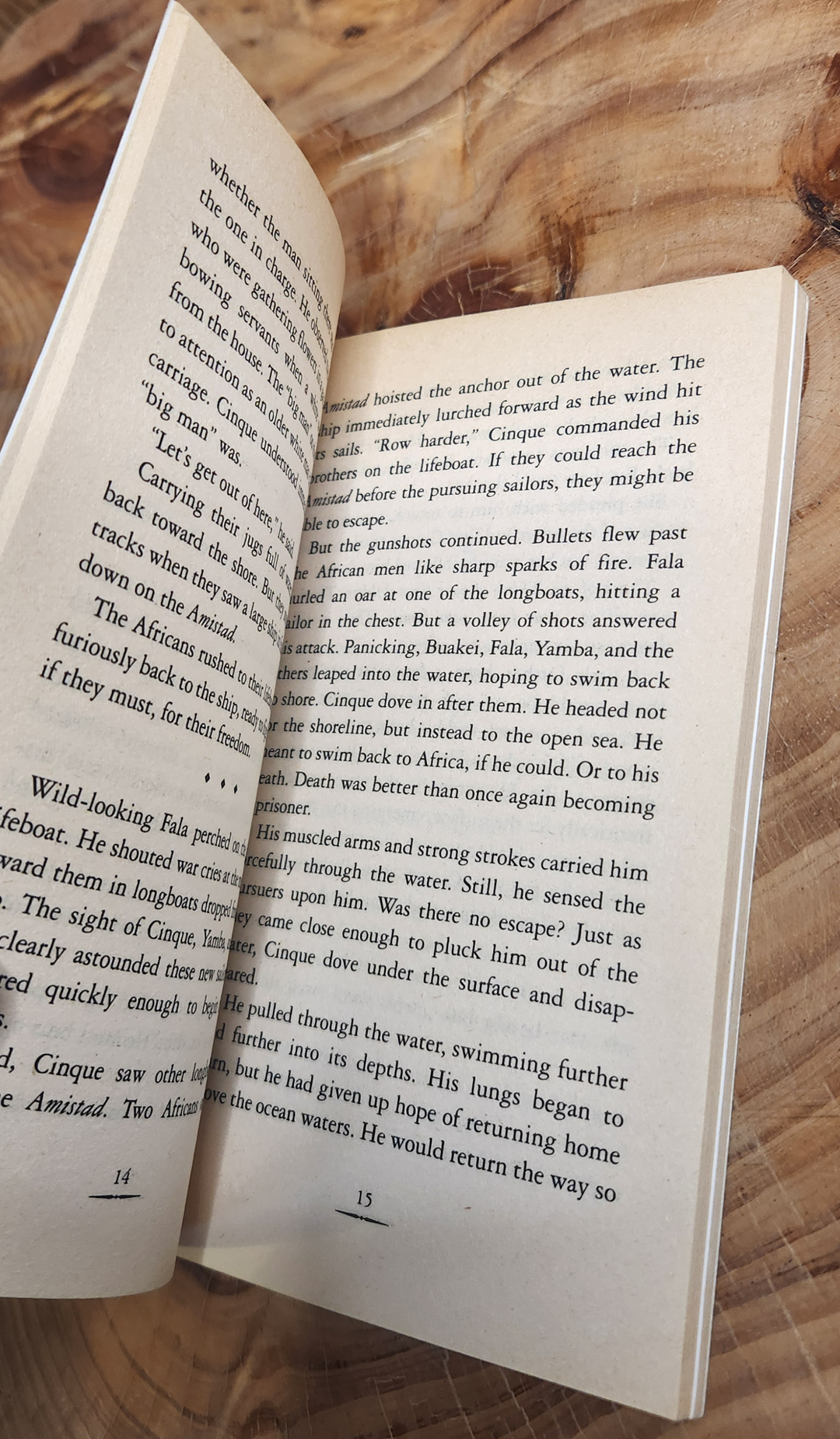 Amistad - Joyce Annette Barnes