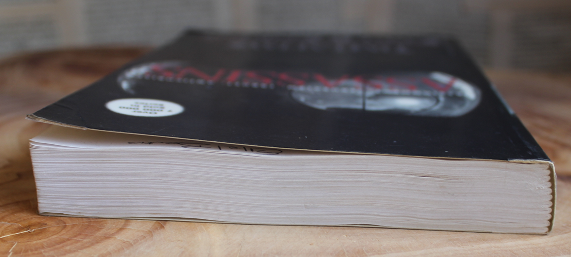 Assassins - Tim Lahaye & Jerry B Jenkins