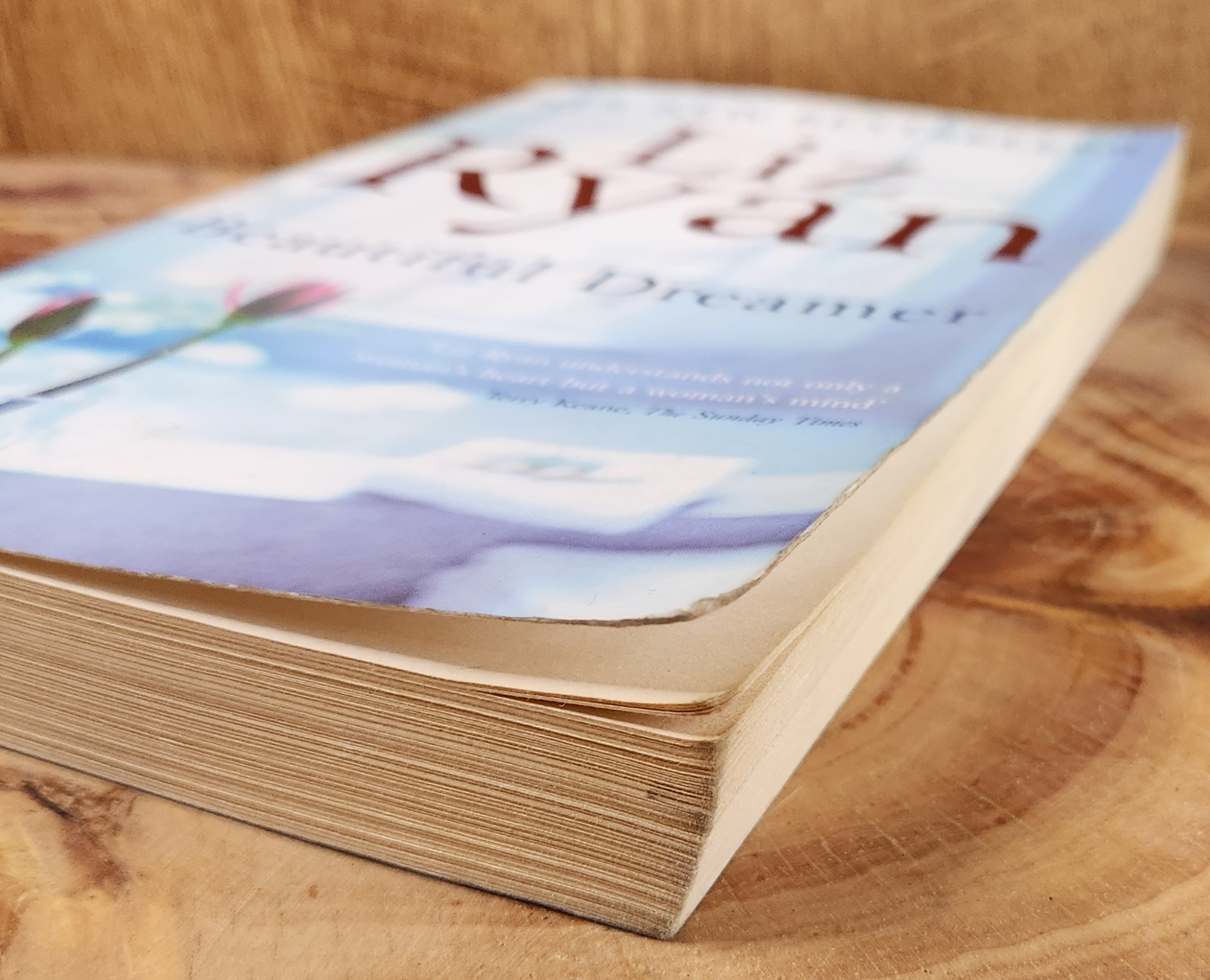 Beautiful Dreams - Liz Ryan