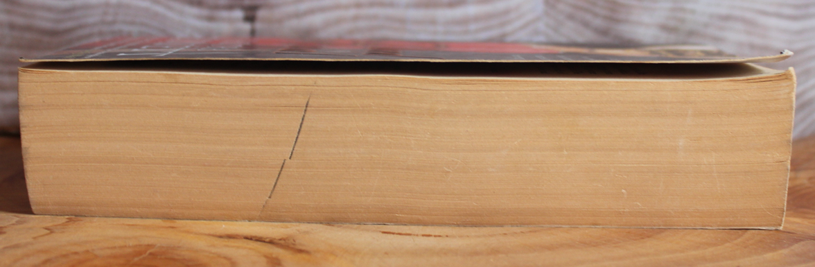 Blood Royal - Vanora Bennett