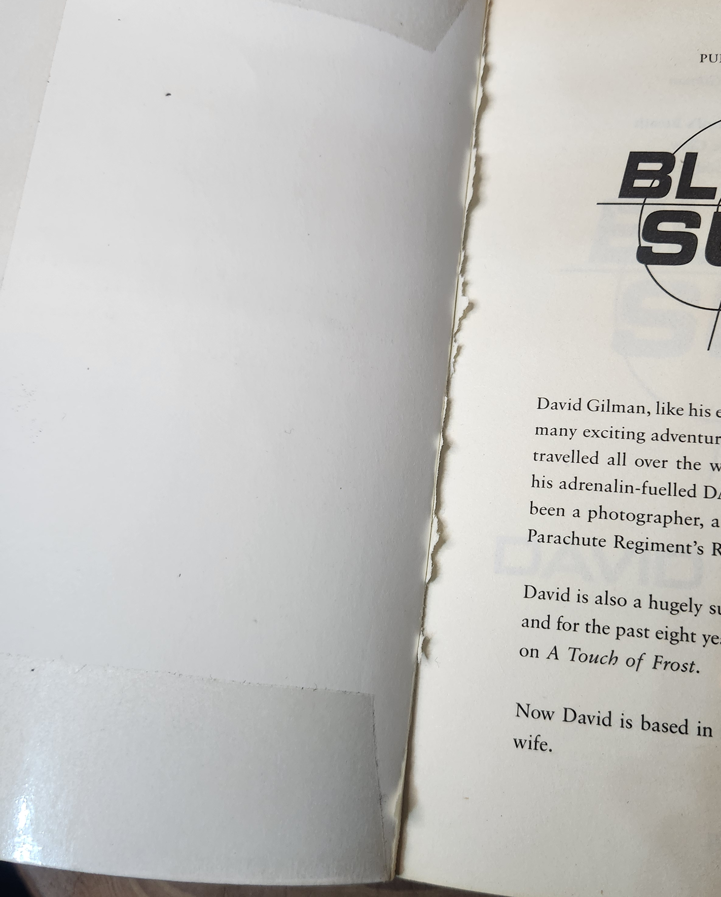 Blood sun - David Gilman