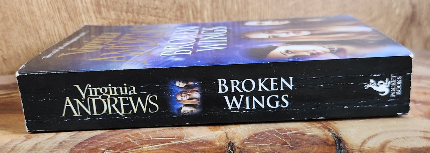 Broken Wings - Virginia Andrews