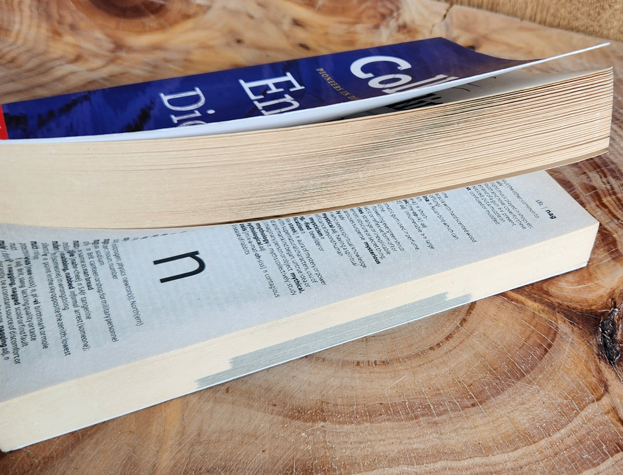 Collins English Dictionary