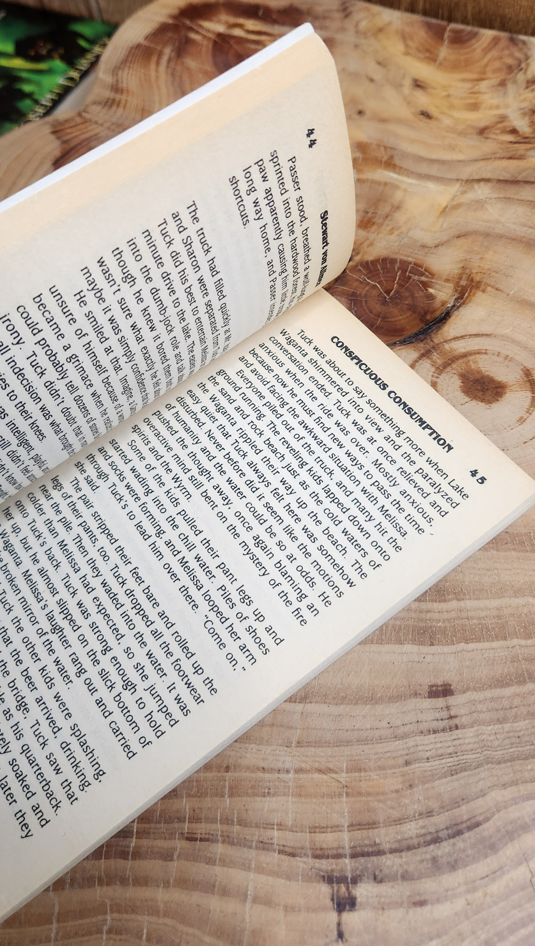 Conspicuous Consumption - Stewart von Allmen