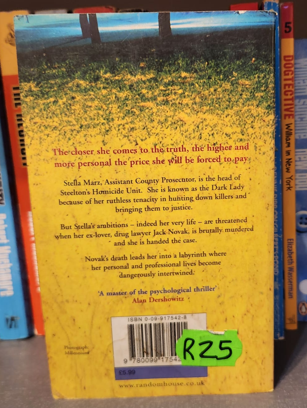 Dark Lady - Richard North Patterson