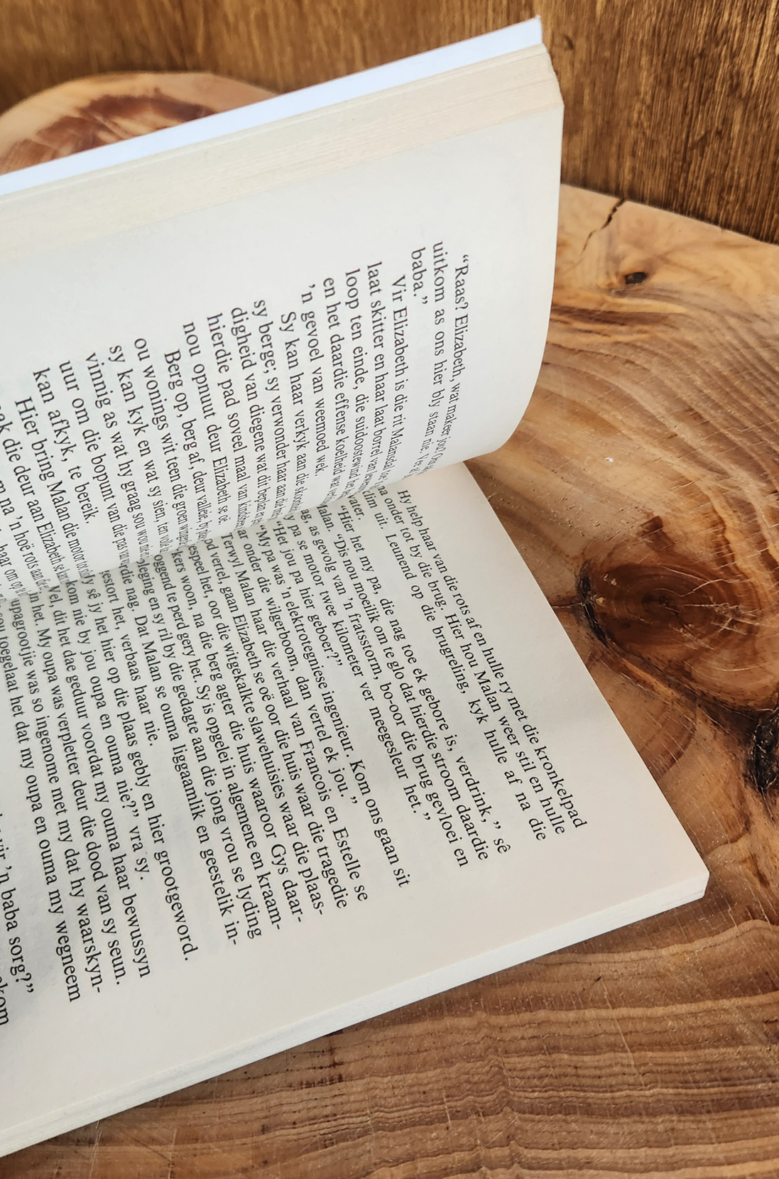 Die Ander Erfgenaam - Herna de Villiers