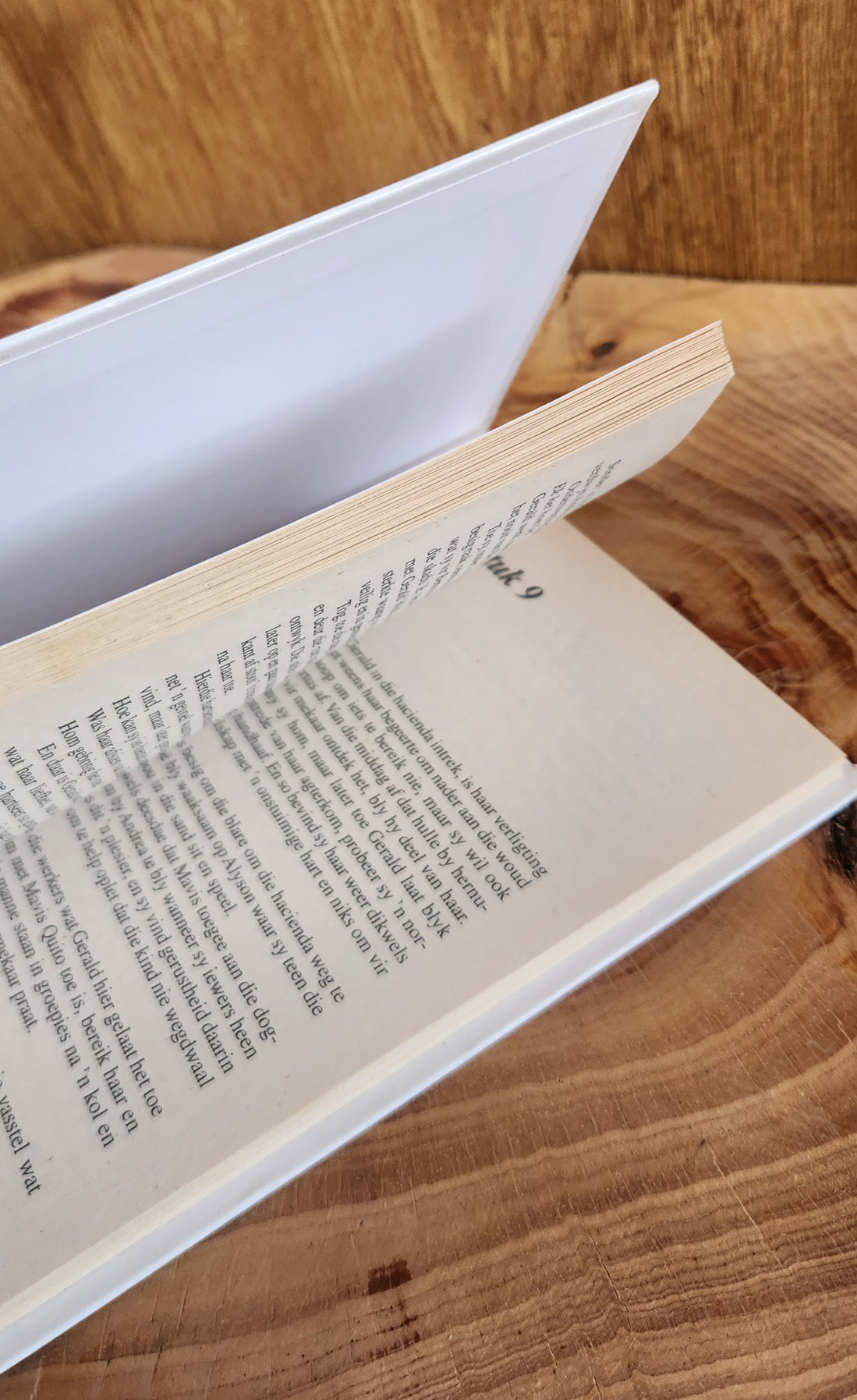 Die Brandende Vuur - Jana Coetzee