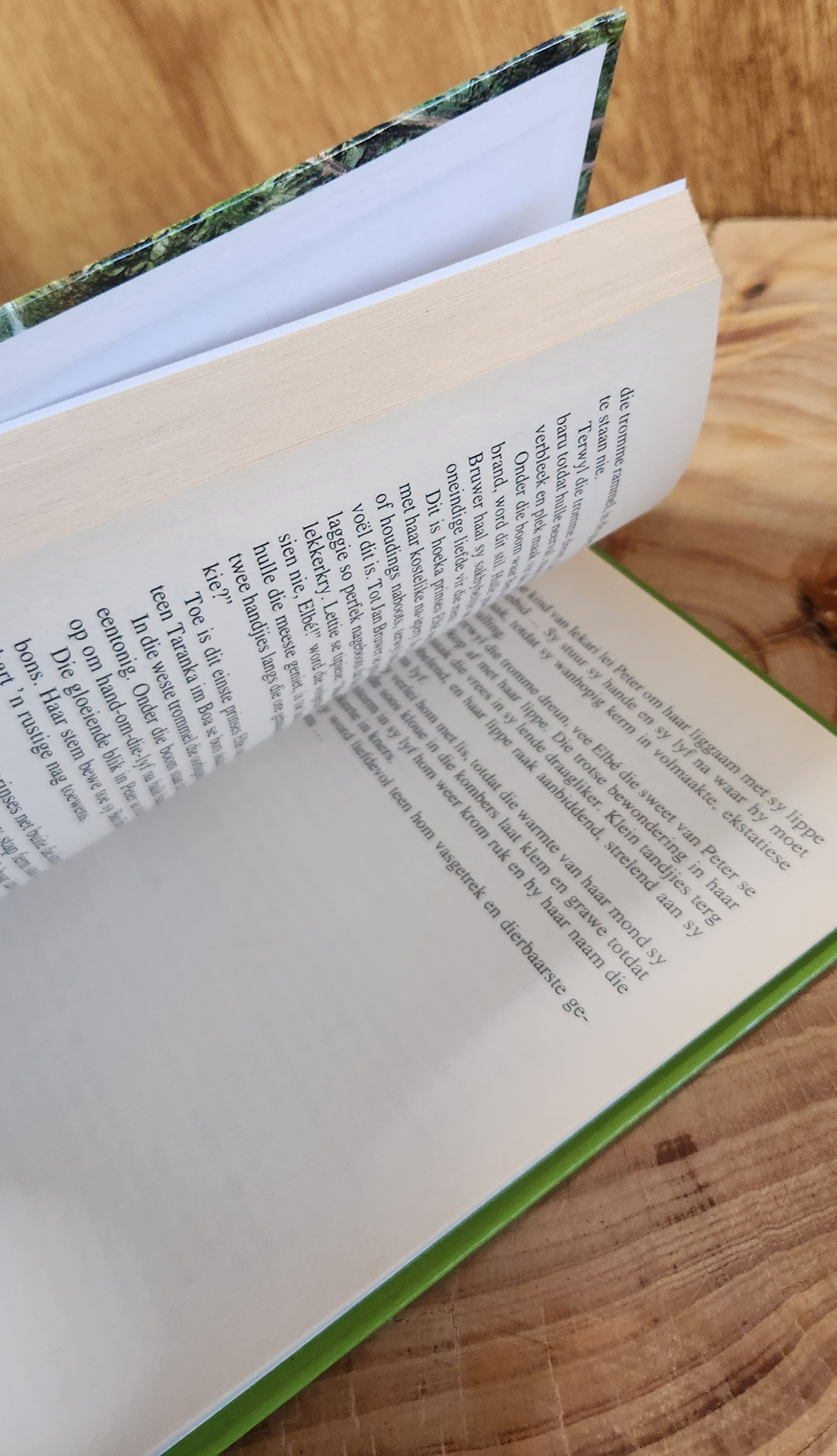 Die sonkinders - Louis L.Brink