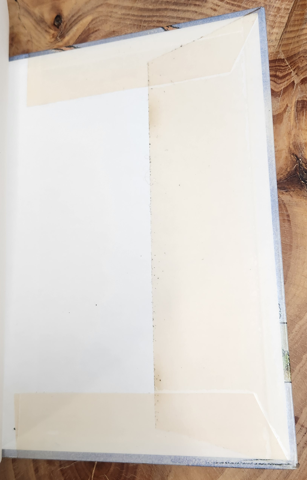 Die nes wat ons bou - Maretha Maartens