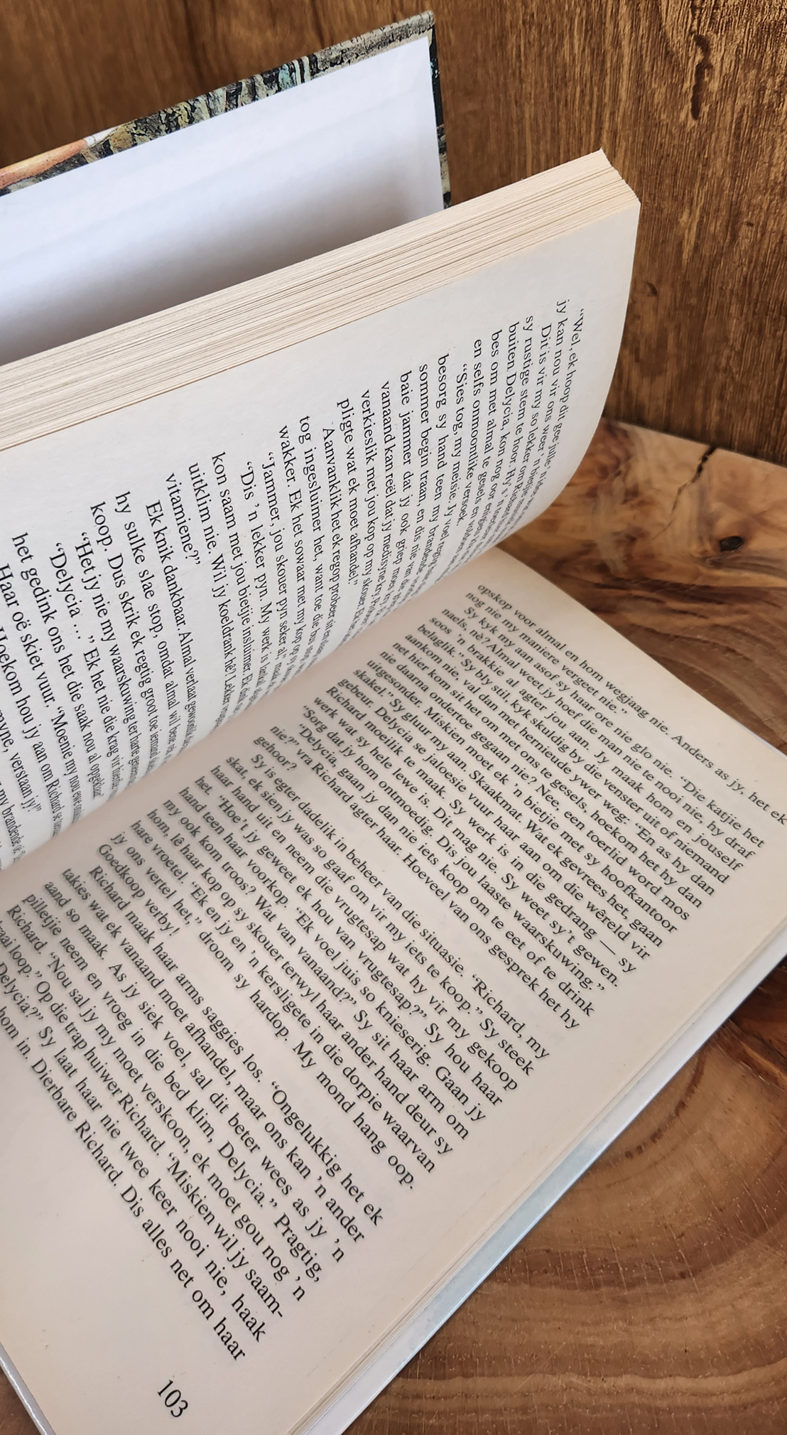 Een nag in Rome - Monica Coetsee