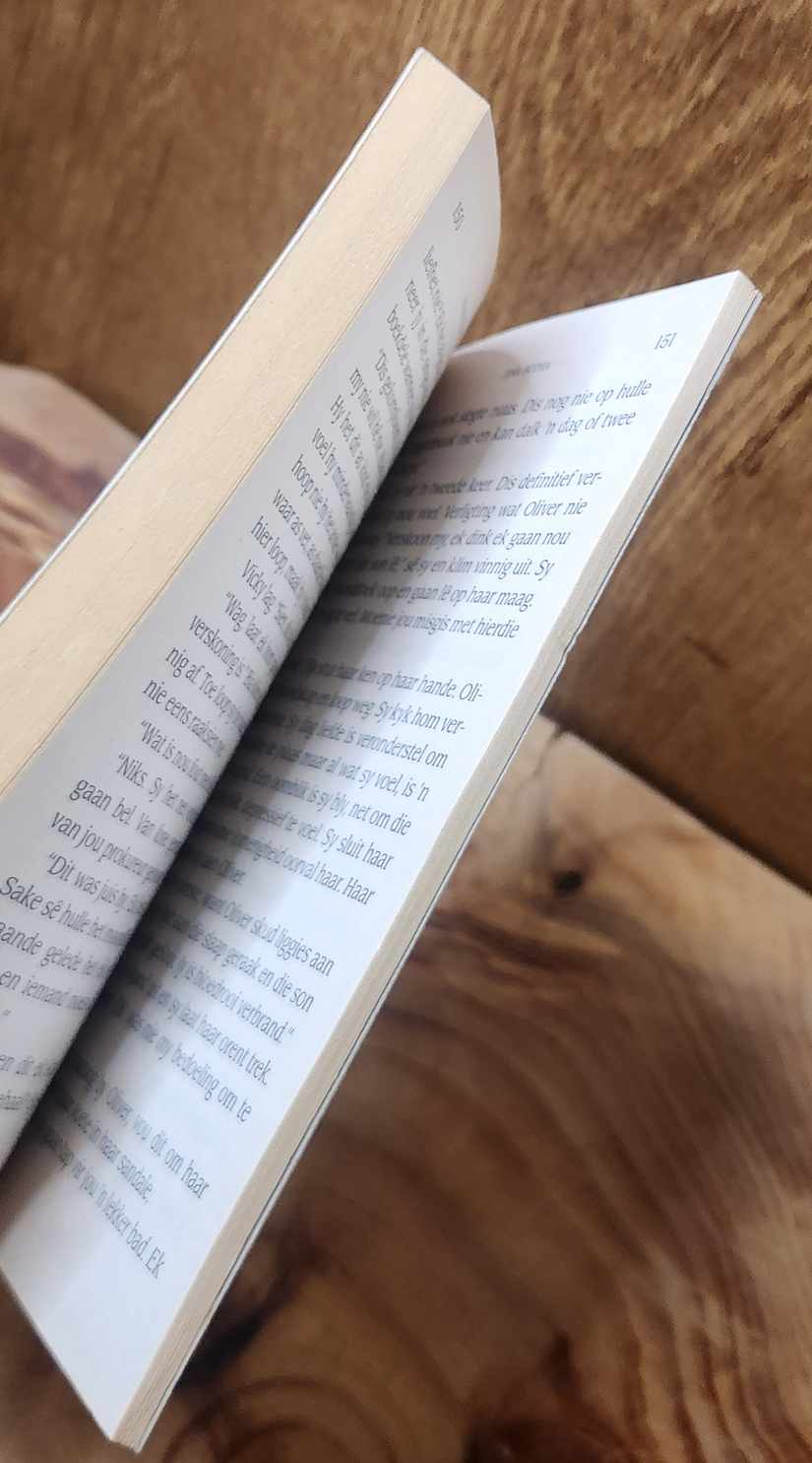 Haar Stoute Skoene - Dina Botha