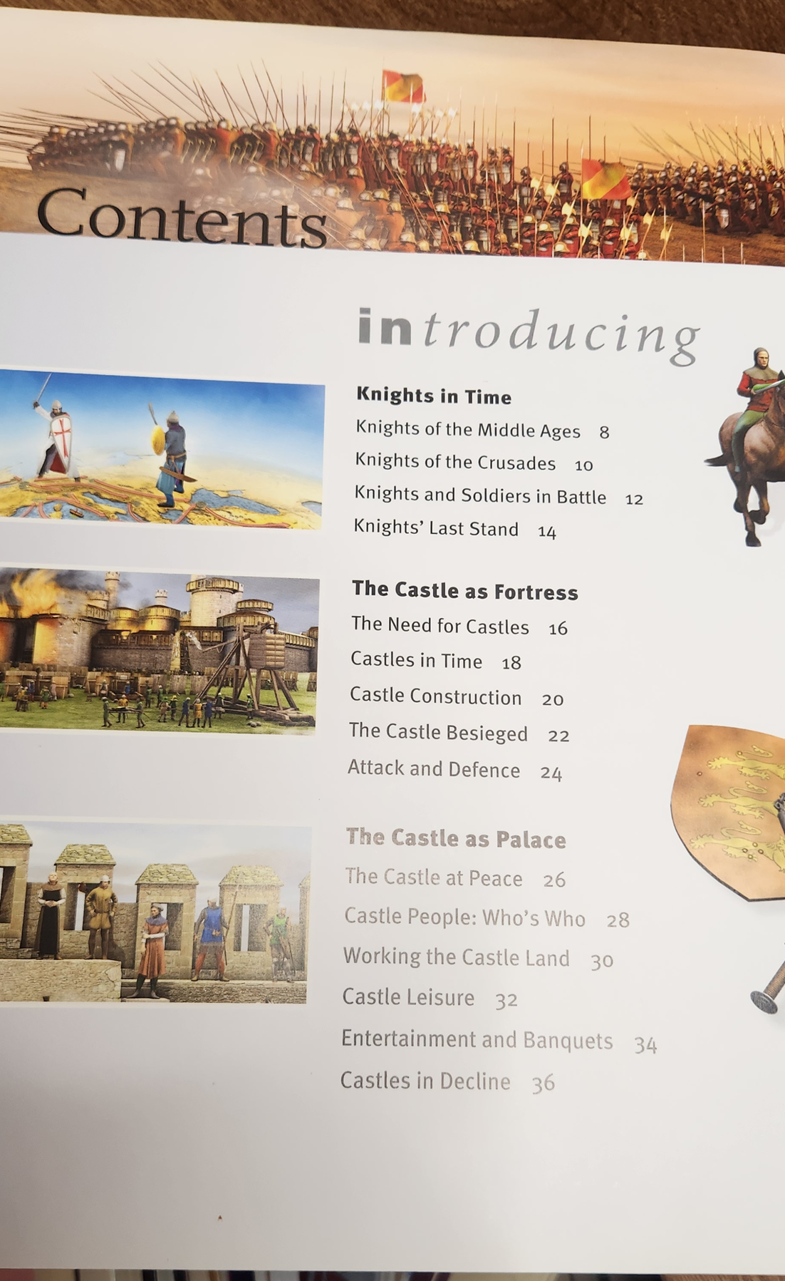 Insiders - Knights & Castles - Philip Dixon