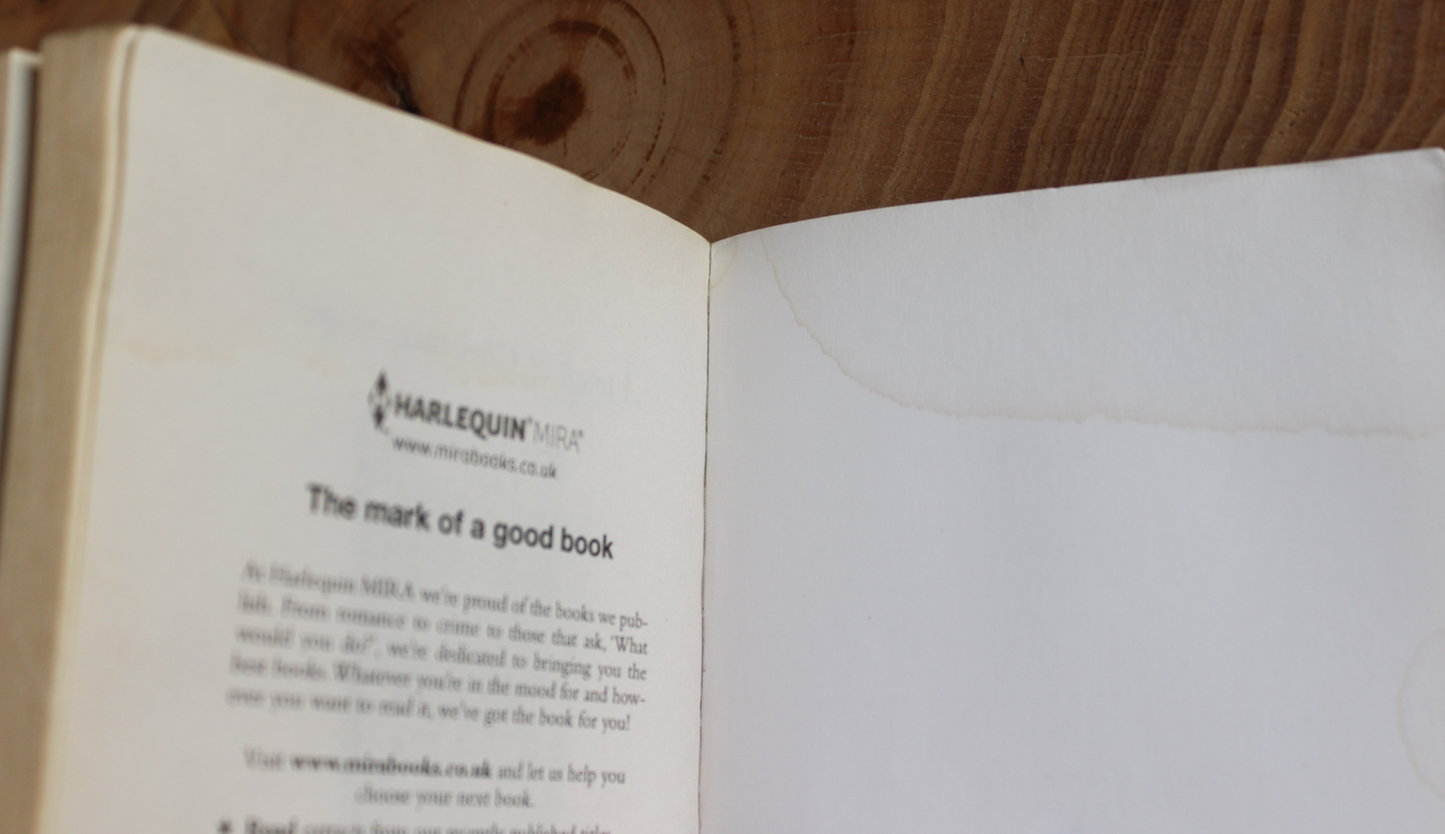 Lakeshore Christmas - Susan Wiggs