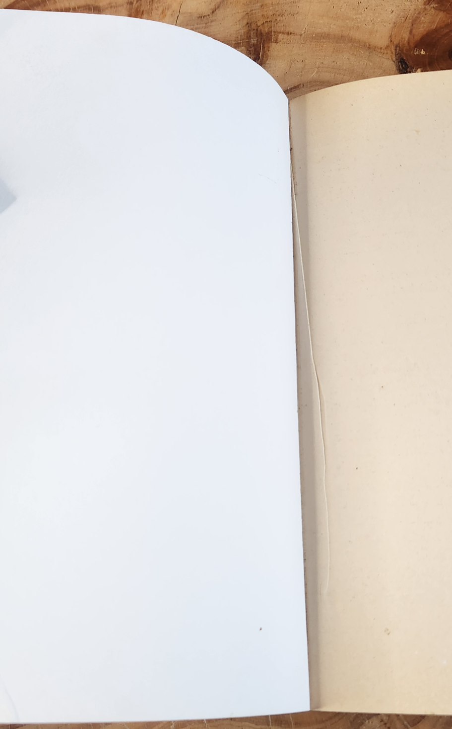 Liefdesrapsodie - Jacqueline Brink