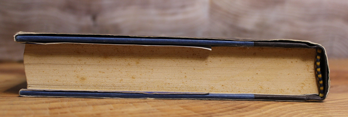 Mariposa - Greg Bear