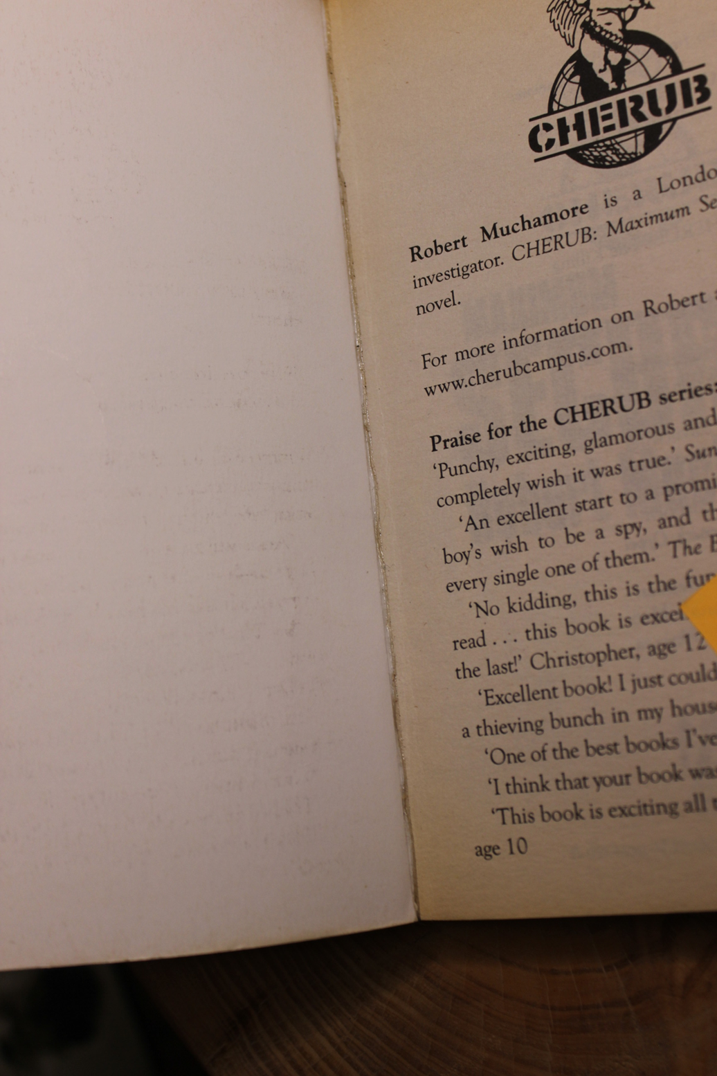 Maximum Security - Robert Muchamore