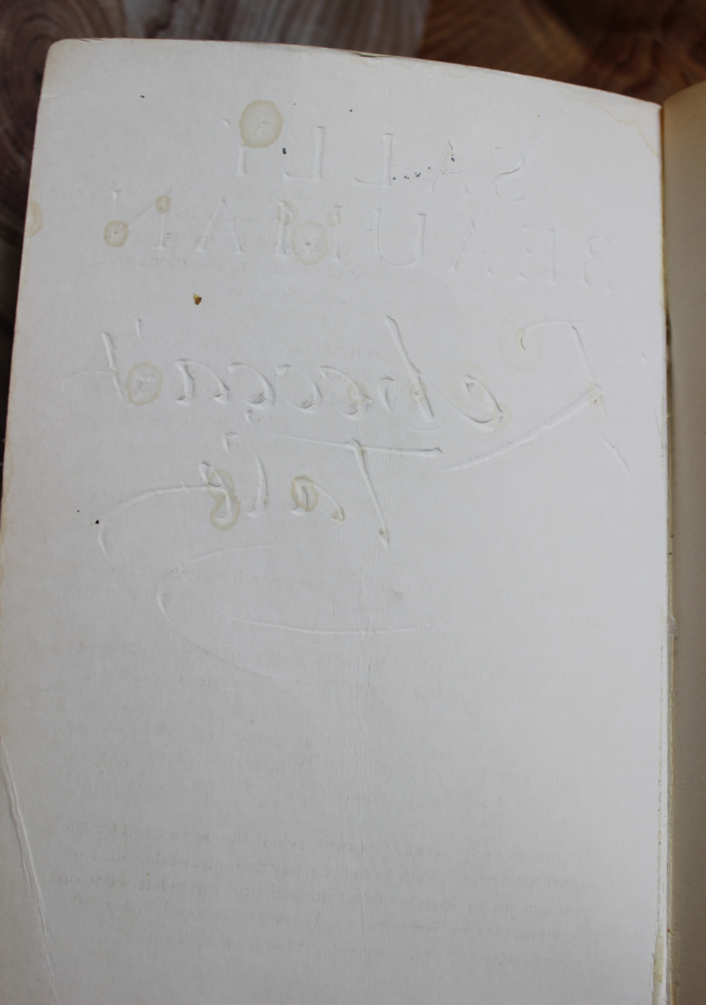 Rebecca's Tale - Sally Beauman