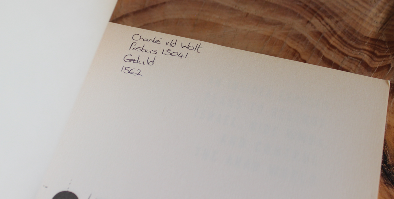 Saddam's Secrets - George Sada