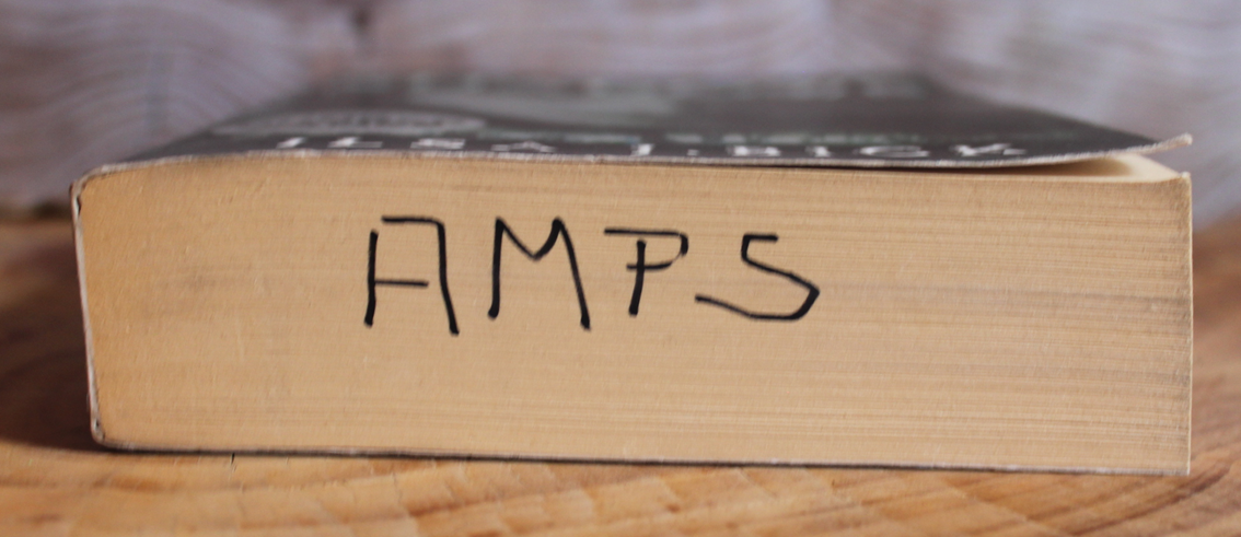 Shadows - Ilsa J. Bick