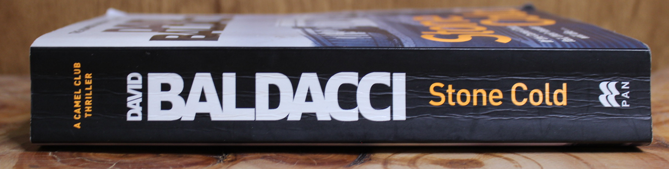 Stone Cold -David Baldacci