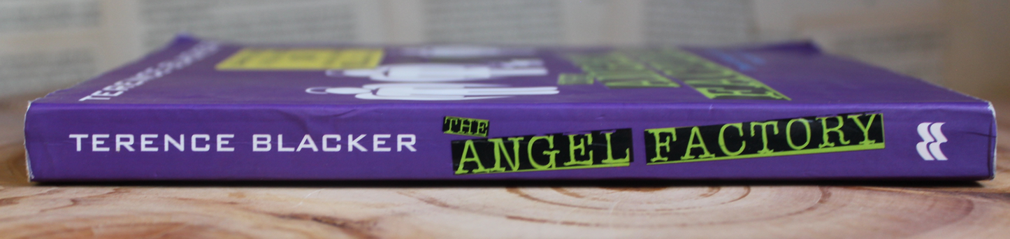 The Angel Factory - Terence Blacker