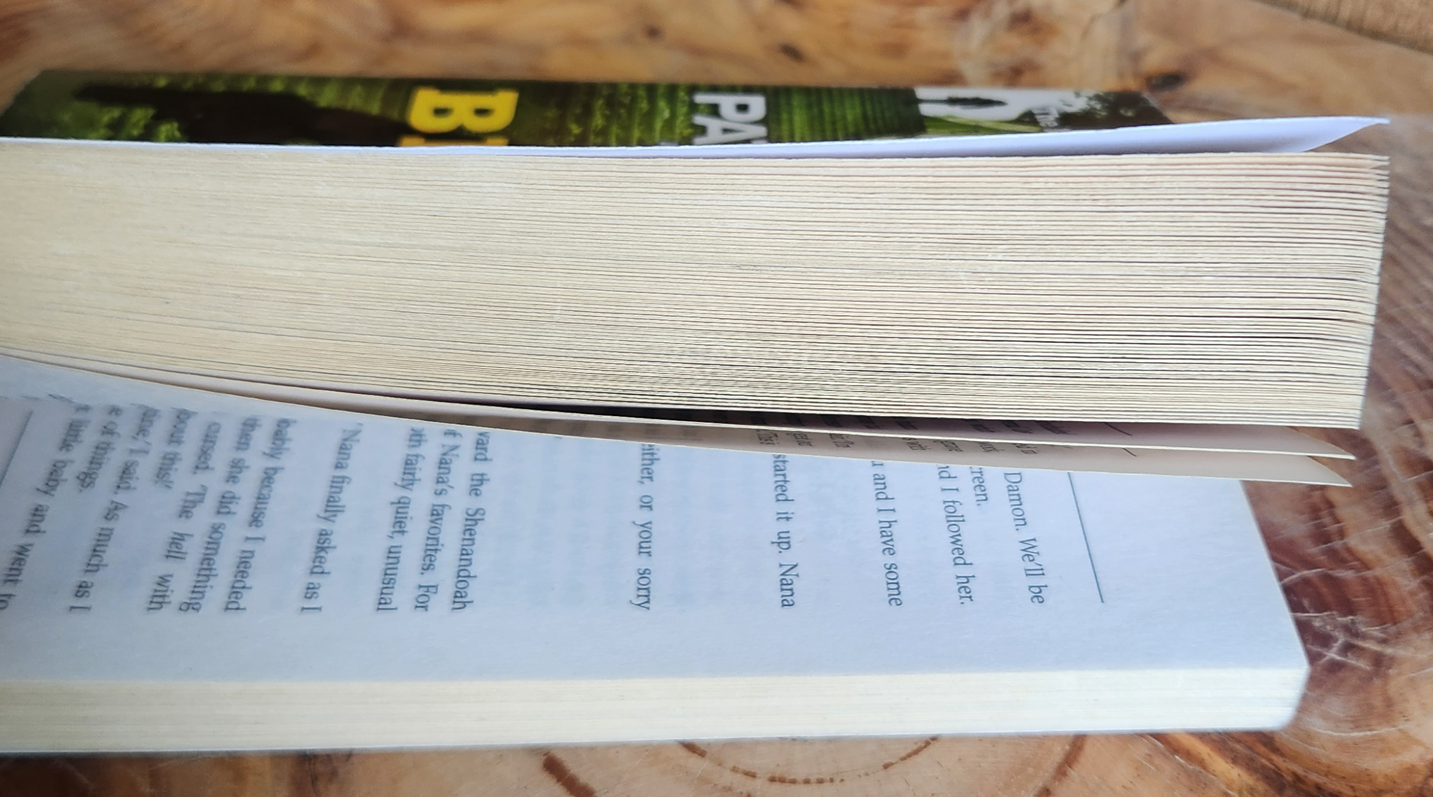 The Big Bad Wolf - James Patterson