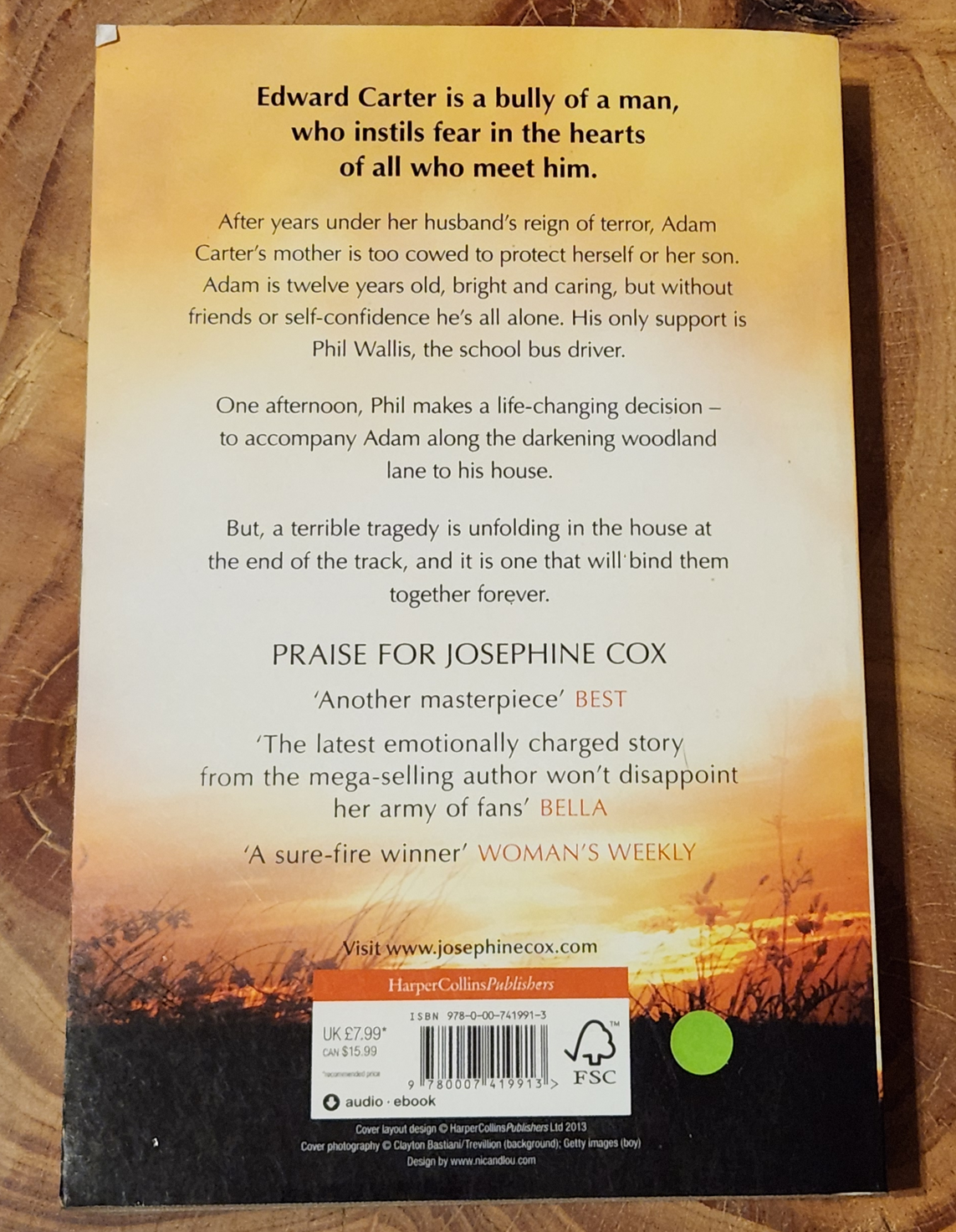 The Broken Man - Josephine Cox