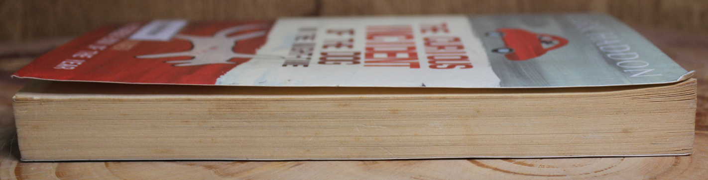 The Curious Incident of the Dog in the Night-Time - Mark Haddon