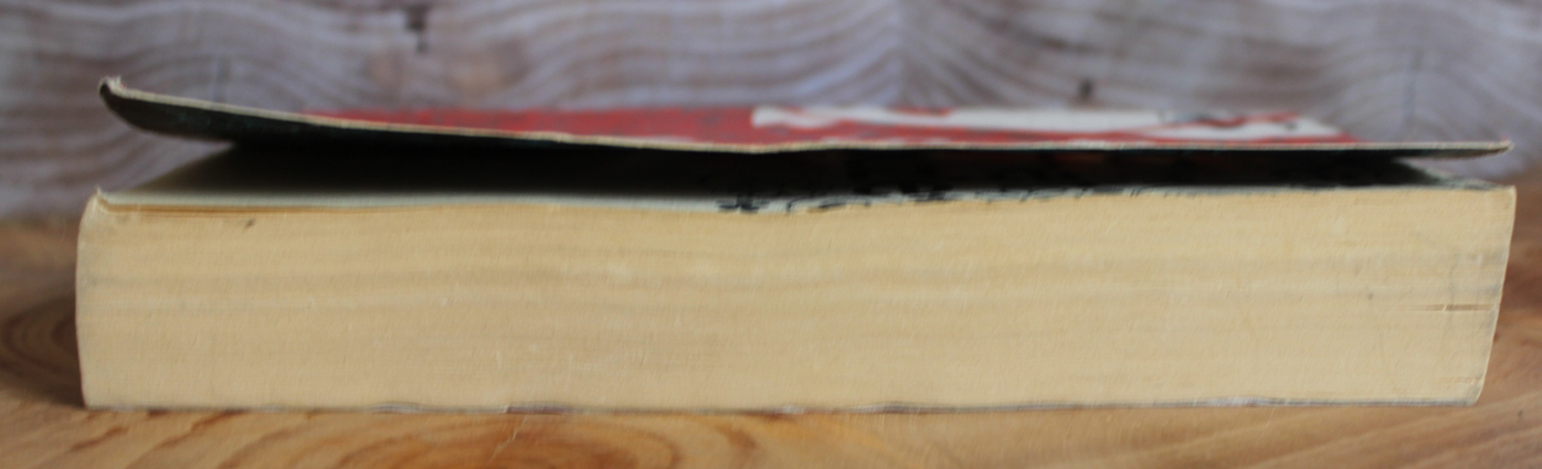 The Day I Met Suzie - Chris Higgins