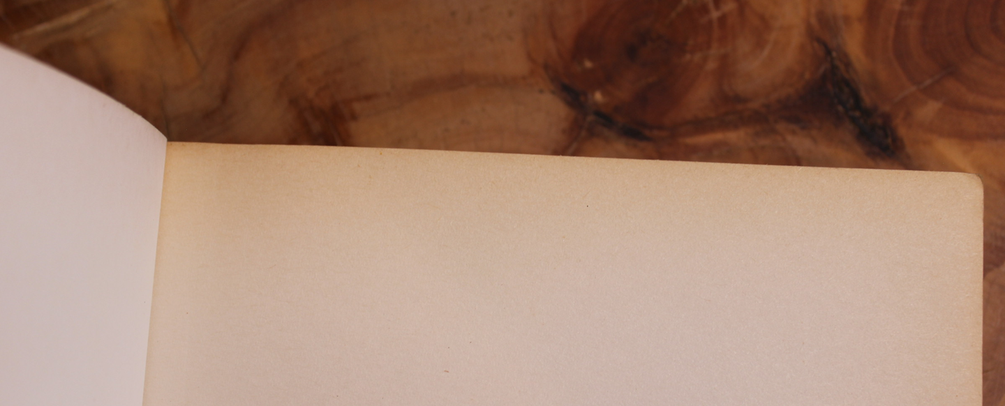 The God of chaos - Tom Bradby