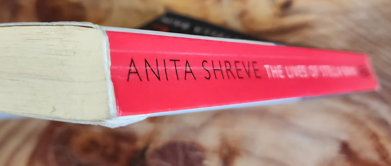 The Lives of Stella Bain - Anita Shreve