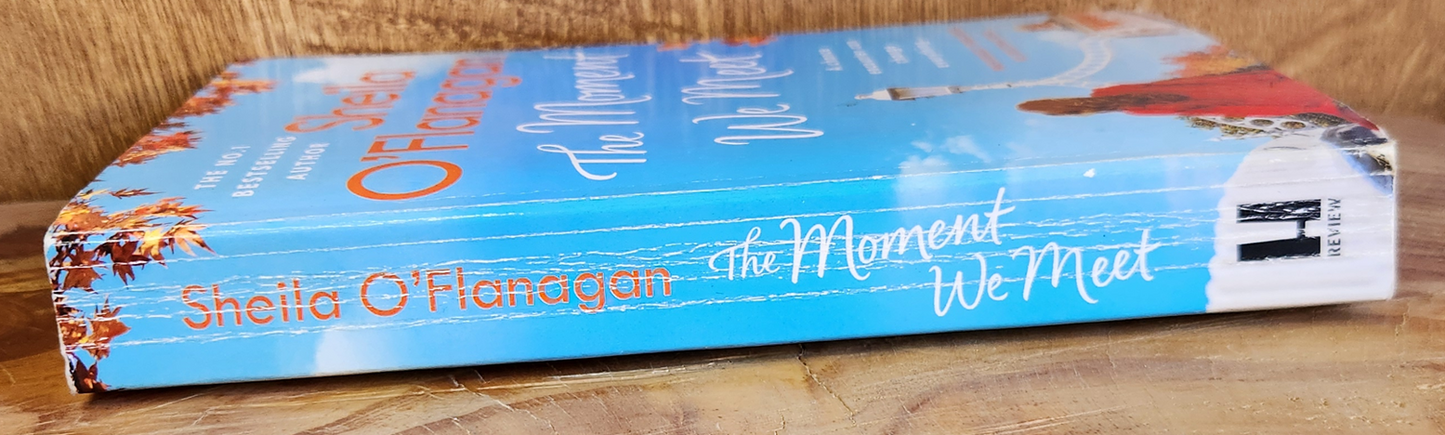 The Moment we Meet - Sheila O'Flanagan