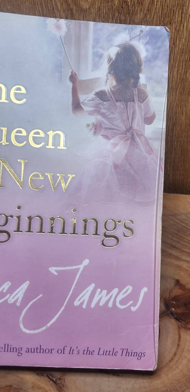 The Queen of New beginnings - Erica James