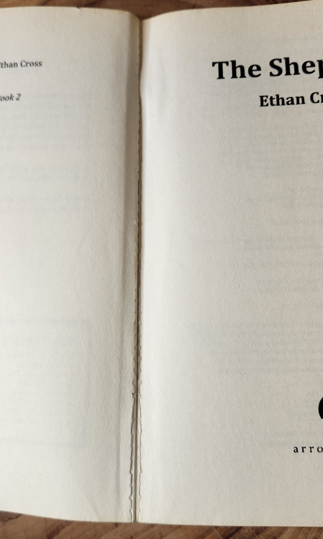 The Shepherd - Ethan Cross