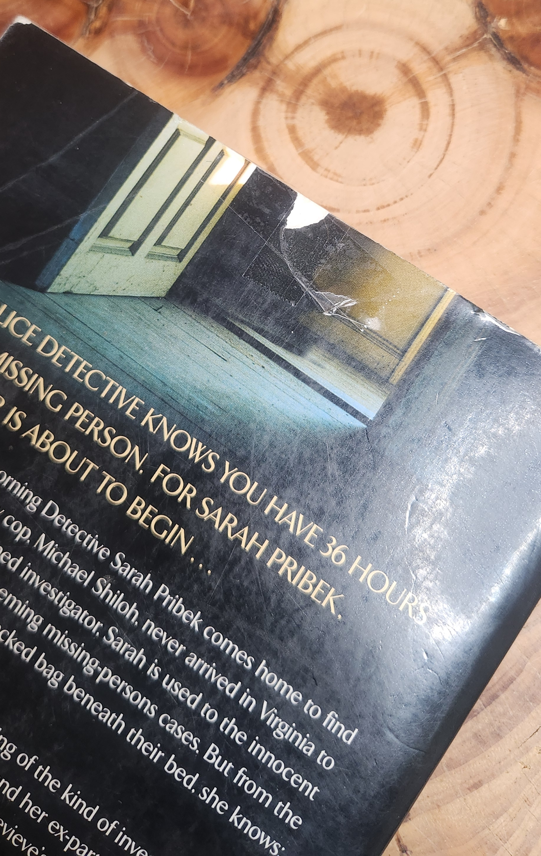 The 37th Hour - Jodi Compton