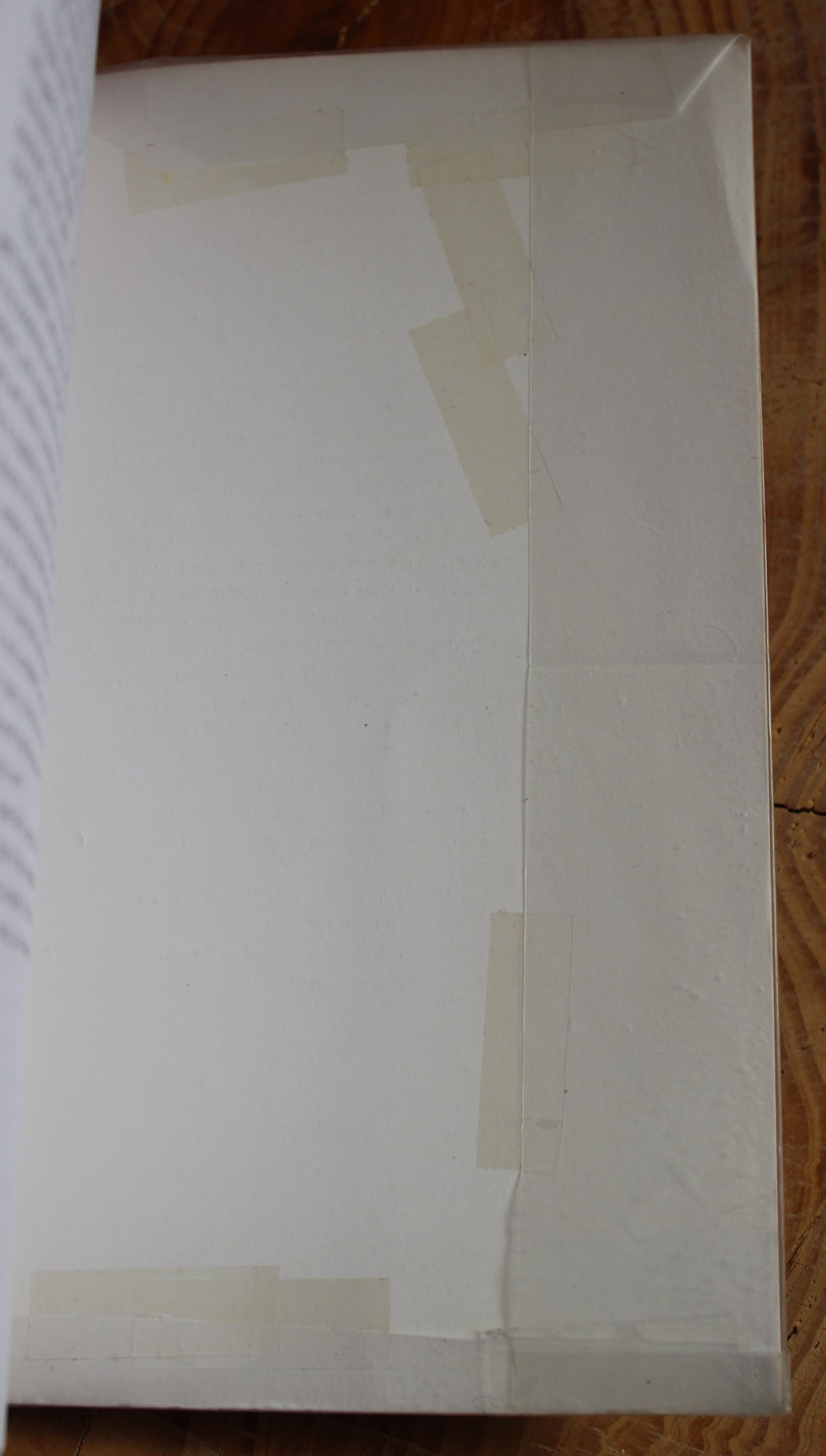 The Billion Dollar Soccer Ball - Michael Williams