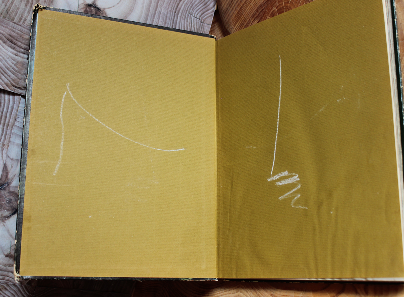 Nature Library The Birds