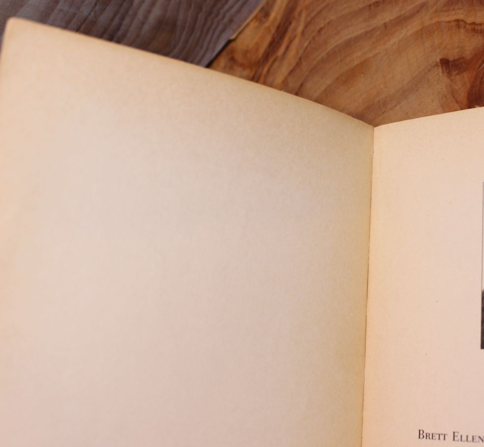 The Grave of God's Daughter - Brett Ellen Block