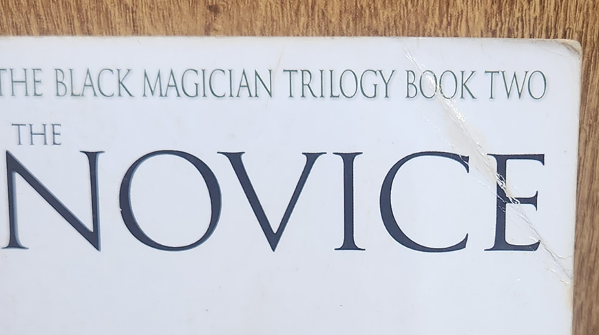 The Novice - Trudi Canavan