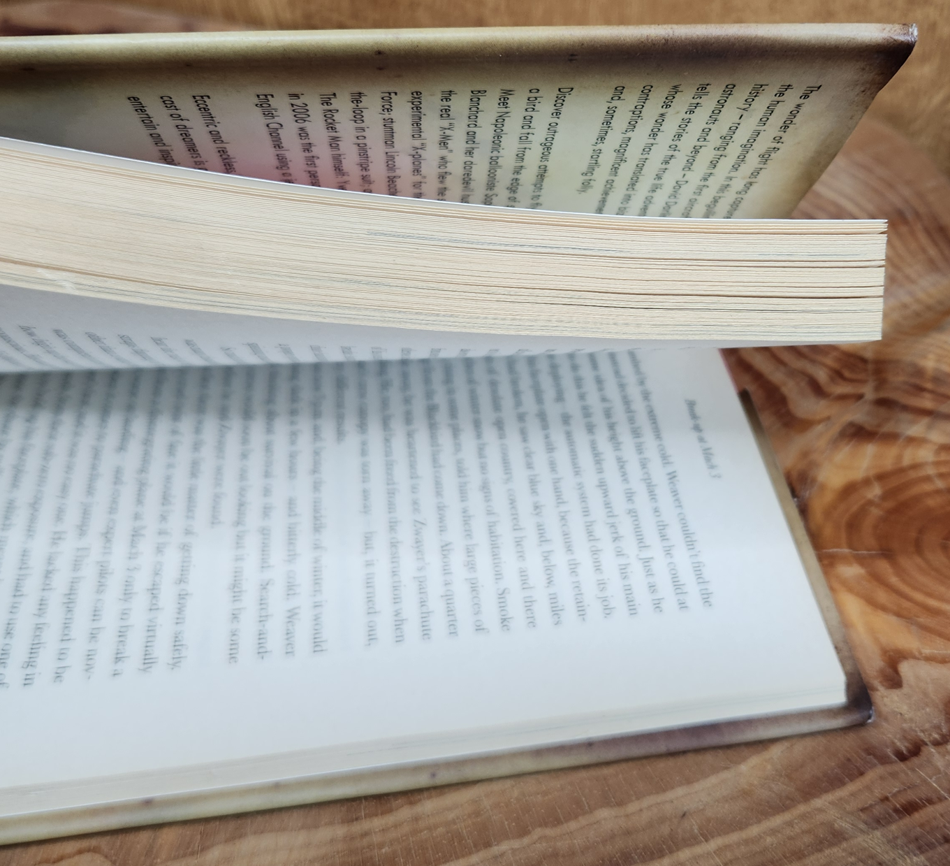 The Rocket Man - David Darling