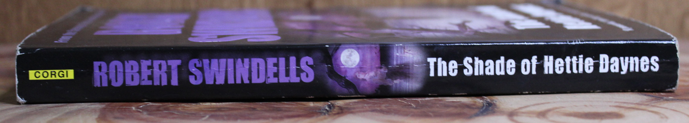 The Shade of Hettie Daynes - Robert Swindells