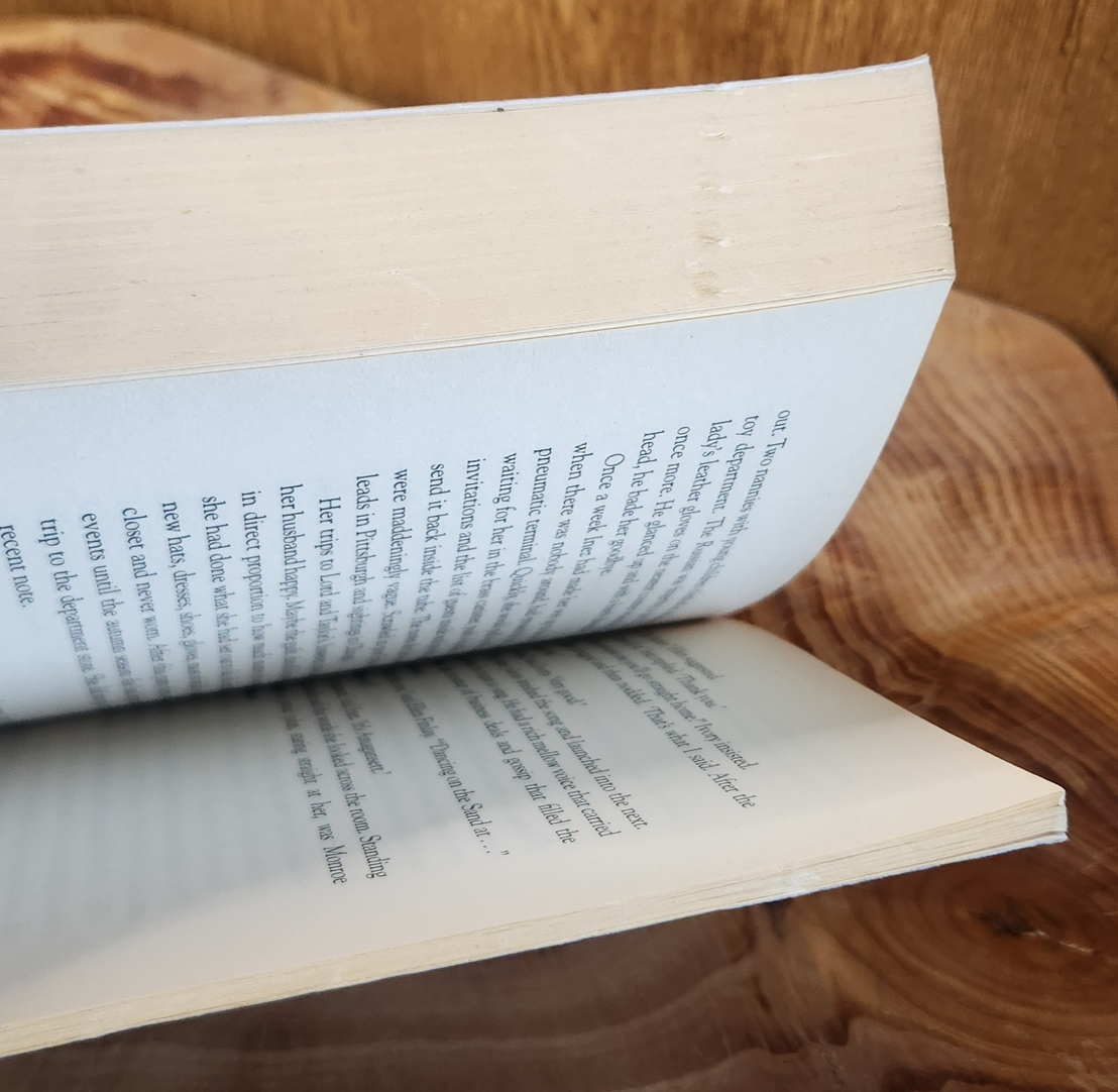 The Songwriter - Beatrice Colin