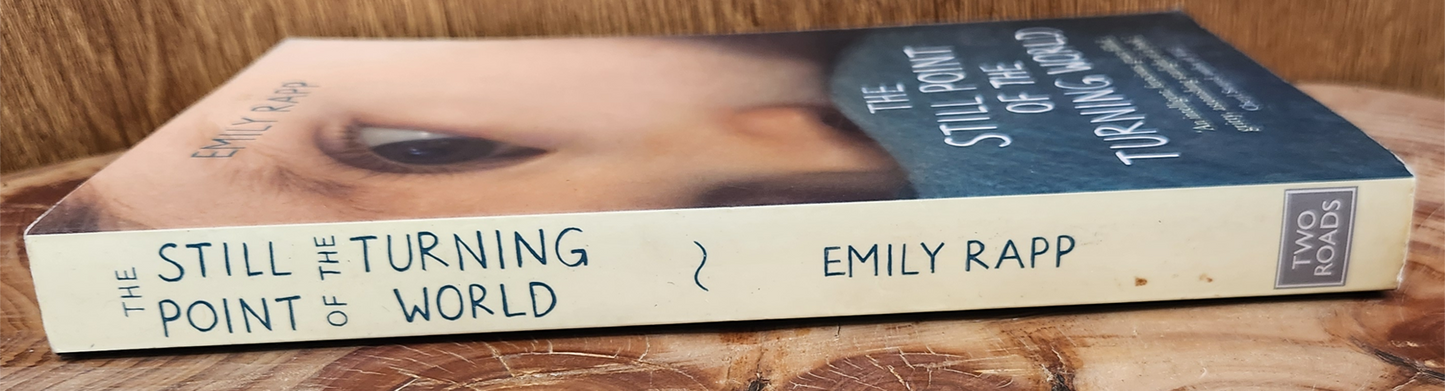 The Still Point of the Turning World - Emily Rapp