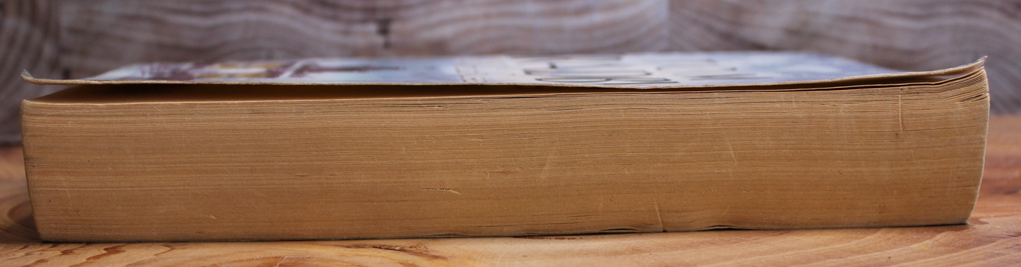 The White Russian - Tom Bradby