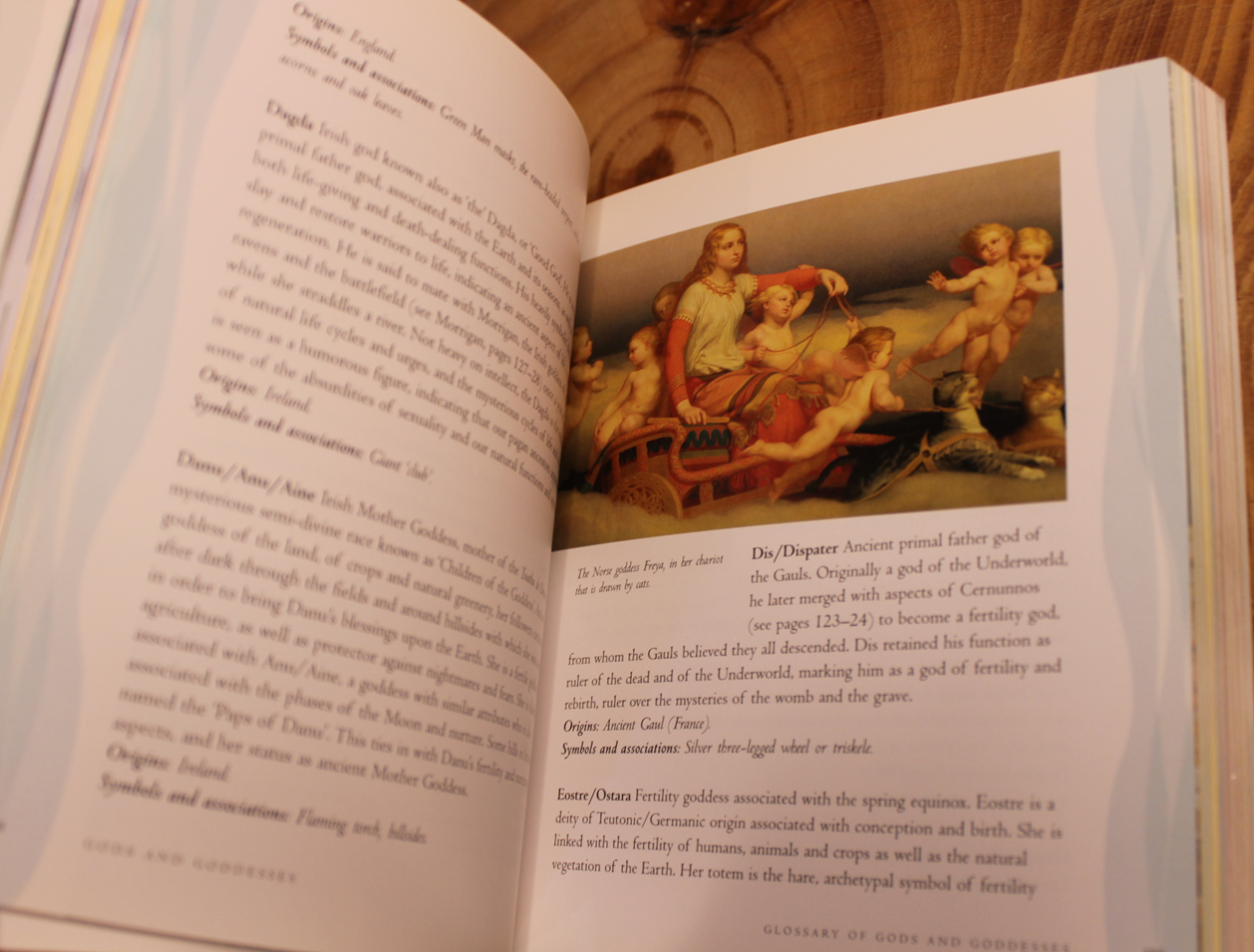 The Wicca - Ann-Marie Gallagher