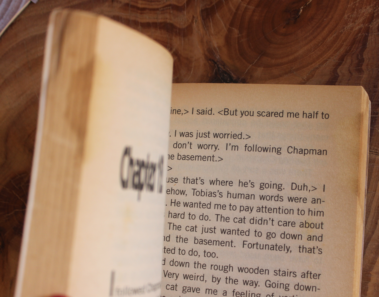 Animorphs, The Visitor - K.A. Applegate