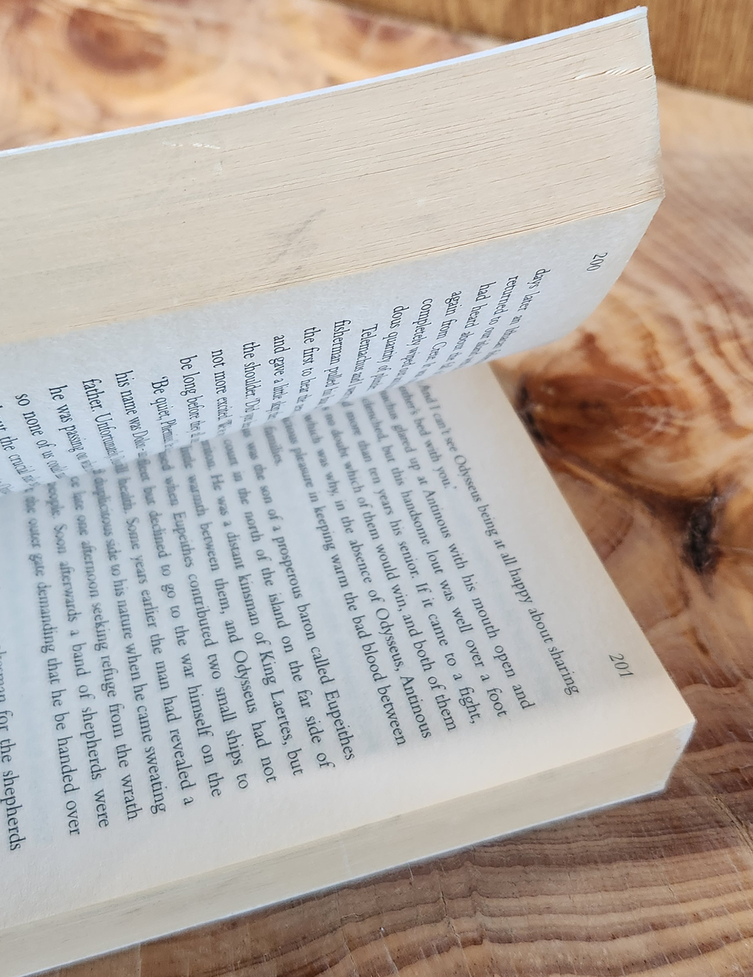 The return from Troy - Lindsay Clarke