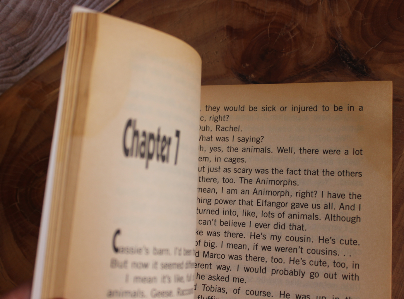 Animorphs, The separation - K.A. Applegate