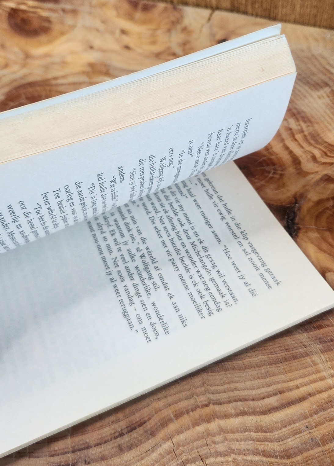 Trazom, 'n mozart verhaal - Philip de vos